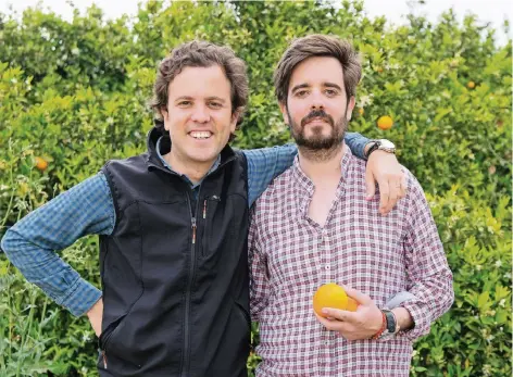  ?? FOTO: MARTIN EGBERT ?? Gonzalo (l.) und Gabriel Úrculo haben die Vermarktun­g ihrer Orangen total auf den Endverbrau­cher zugeschnit­ten. „Crowdfarmi­ng“nennen sie das.