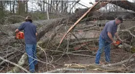  ?? (Special to The Commercial/Richard Ledbetter) ?? Fordyce City Street Department workers Daniel Lanthrop (left) and Jack Johnson, cut debris from roads blocked by downed trees.