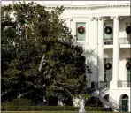  ?? AP PHOTO/ANDREW HARNIK ?? A large portion of a famed Magnolia tree, at left, photograph­ed from the Ellipse in Washington, Tuesday and planted on the south grounds of the White House by President Andrew Jackson in 1835 has become too weak to remain standing. Removal is planned...