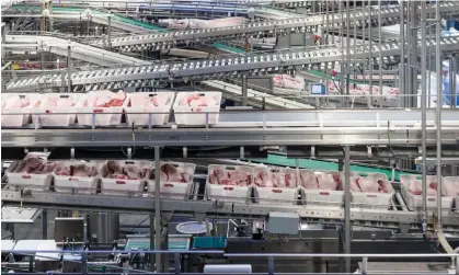  ?? Photograph: Alastair Philip Wiper-VIEW/Alamy ?? A Danish Crown facility in Horsens, Denmark. Tens of millions of pigs are killed each year in Denmark, which is Europe’s pork capital.