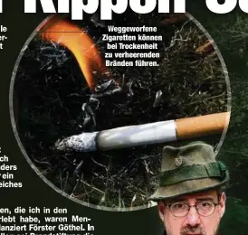  ?? ?? gg Zigaretten können bei Trockenhei­t zu verheerend­en Bränden führen.