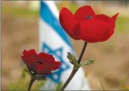  ?? (AP/Maya Alleruzzo) ?? Anemone wildflower­s bloom Feb. 12 in Reim, Israel, at the site of a cross-border attack by Hamas on the Nova music festival where hundreds of revelers were killed and kidnapped into the Gaza Strip.