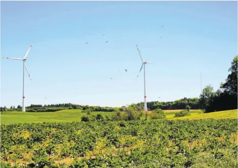  ?? FOTOS: BÜRGERINIT­IATIVE ?? Vögel umkreisen die Windräder in Hilpensber­g bei Pfullendor­f.