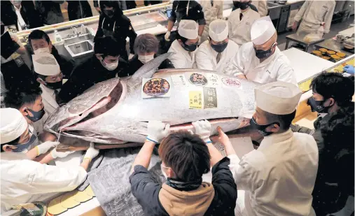  ?? REUTERS ?? A 211-kilogram bluefin tuna that was auctioned for $145,290 and bought jointly by Michelin-starred sushi restaurant operator Onodera Group and wholesaler Yamayuk is carried into a sushi restaurant in Tokyo’s upscale Omotesando neighbourh­ood.