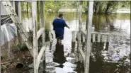  ?? JEFFREY S. COLLINS — THE ASSOCIATED PRESS ?? Shawn Lowrimore, son of Pastor Willie Lowrimore of The Fellowship With Jesus Ministries, wades into water near the church in Yauhannah, S.C., on Monday. The church is on the bank of the Waccamaw River, which is expected to keep rising for several days, forcing thousands of evacuation­s in the aftermath of Hurricane Florence.