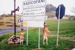  ??  ?? I due lupi uccisi e appesi al cartello d’ingresso del paese (foto LIFE+ Medwolf)