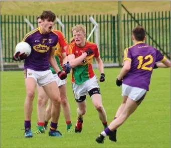  ??  ?? Wexford’s Brian Deeney shows his delight during the clash with Carlow.