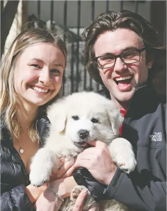  ?? JEAN LEVAC ?? Alex Champagne and Ben Robillard show off the newest member of their family, 10-week-old Wilson. The couple had been planning to get a dog during the summer but got one earlier due to the pandemic.