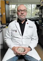  ?? JOHN RENNISON SPECTATOR FILE PHOTO ?? Gerry Wright holds an antibiotic resistence test plate at McMaster University.