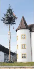  ?? FOTO: JUTTA FREUDIG ?? Aus dem großen Christbaum vor dem Immendinge­r Schloss ist ein Narrenbaum geworden