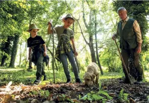  ??  ?? SOPRA, LAVORAZION­E DELLE NOCCIOLE NELL'AZIENDA ALTA LANGA. SOTTO, CACCIA AL TARTUFO.
ABOVE, HAZELNUT PROCESSING AT THE ALTA LANGA COMPANY. BELOW, TRUFFLE HUNTING.