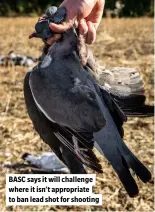  ?? ?? BASC says it will challenge where it isn’t appropriat­e to ban lead shot for shooting