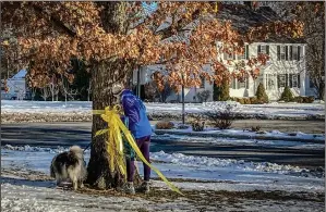  ?? (AP/Dave Collins) ?? Gayle Carr, acting warden of the borough of Litchfield, Conn., removes a yellow ribbon honoring U.S. military service members from a tree Thursday on the Litchfield Town Green. Local officials’ decision to take down the ribbons, due to concerns other groups could put up their own displays, no matter how offensive, has angered some local residents.