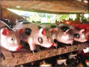  ?? COURTESY OF BUTTERFLY TOURS ?? Ong Pisey’s piggy banks on display at her shop.