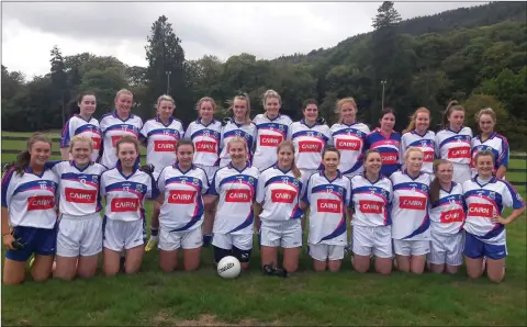  ??  ?? The Éire Óg Greystones team who scraped past a gallant Baltinglas­s side in Laragh on Sunday morning.