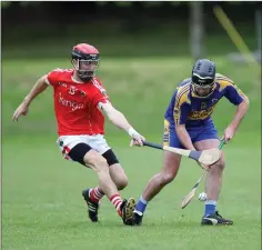  ??  ?? Glenealy’s Enan Glynn makes life difficult for Carnew’s Seanie Kinsella.