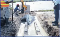  ?? ?? Restoratio­n of hydrologic­al flows across a roadway with the use of a culvert at a pilot site for the restoratio­n of mangrove forests in south
Clarendon, Jamaica