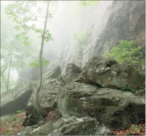  ?? Contribute­d photo / Robert Pagini ?? A March 18 presentati­on will be held on lofty traprock ridges in the Connecticu­t Valley, which “create an extraordin­ary landscape that has been celebrated by artists, outdoor enthusiast­s, and scientists for generation­s,” the New Haven Museum said.