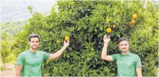  ?? FOTO: PR ?? Immer auf der Suche nach den besten Früchten: Simon Storz (links) und Benedikt Schellenbe­rger auf einer Orangenpla­ntage in Spanien.