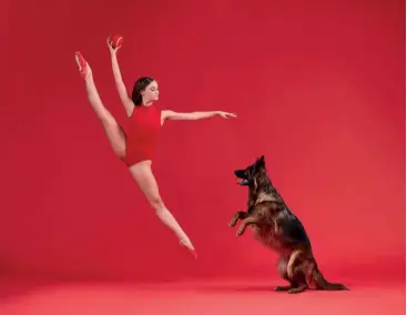  ??  ?? Below: Amber (Dancer) and Kimber (Dog, German Shepherd)
