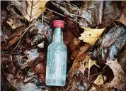  ?? John Breunig/Hearst Connecticu­t Media ?? A nip bottle discarded in Connecticu­t woods in 2024.