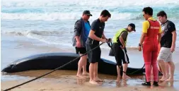  ??  ?? The mother was found in the surf but had already died.