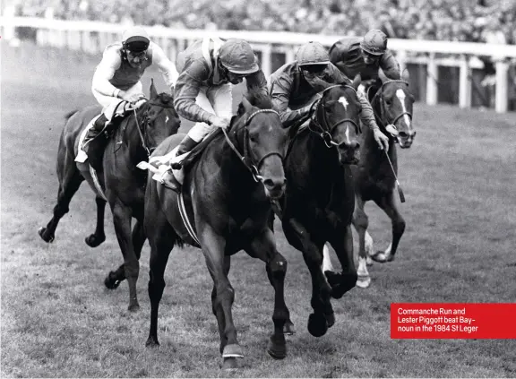  ??  ?? Commanche Run and Lester Piggott beat Baynoun in the 1984 St Leger