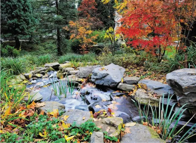  ?? BILD: SN/SHUTTERSTO­CK/ALEKSEY STEMMER ?? Der Garten ist bereits eingewinte­rt – in manchen Gärten stehen nur noch letzte Handgriffe an, um Wasserleit­ungen und Gartenteic­he vor Frost zu schützen.