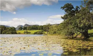  ??  ?? ABOVE In summer, water lilies dot Loughrigg Tarn, overlooked by the craggy Langdale Pikes