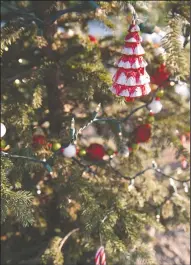  ?? BEA AHBECK/NEWS-SENTINEL ?? A decorated potted spruce greets customers at Delta Tree Farms in Lodi on Wednesday.