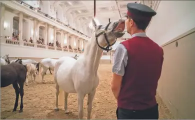  ?? JOE KLAMAR / AGENCE FRANCE-PRESSE ?? A horse interacts with a stud master during a program called “Piber meets Vienna 2017” at the famous Spanish Horse Riding School at the Hofburg palace in Vienna, Austria.