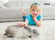  ??  ?? Indoor rabbits are very sociable and can be trained to use a litter box