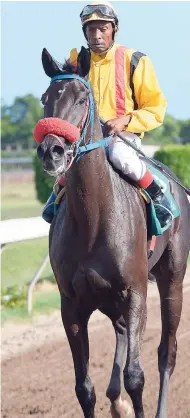  ??  ?? CRAFTY STAR (Ian Spence) winner of last Saturday’s eighth race at Caymanas Park. The four-year-old filly is trained by Percy Tomlinson.