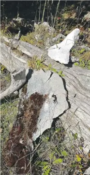  ??  ?? Whale bones dating back 900 to 1,000 years litter the
ancient aboriginal whaling site at Echachist, B.C.