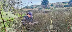  ?? ?? Taranaki Regional Council officer Kelsi Bayly monitoring at the Mimi Estuary key native ecosystem in North Taranaki.