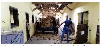  ??  ?? Des jeunes de Magny-les-hameaux avaient participé cet été à un chantier éducatif au centre équestre de l’île de loisirs dans le cadre de la prévention spécialisé­e.