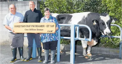  ??  ?? Breeders Ray and Sandra Hocking with LIC Livestock selection manager Simon Worth (centre).
Holsteinfr­iesian bull, San Ray FM Beamer-et S2F, or Beamer has been inducted into an elite animal Hall of Fame by farmerowne­d cooperativ­e LIC.