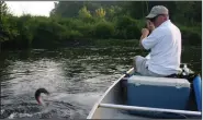  ?? (Arkansas Democrat-Gazette/Bryan Hendricks) ?? Arkansas has great trout fishing in world-renowned waters like the White and North Fork rivers but also in seasonal waters like this spot on the Ouachita River.