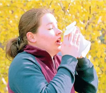  ?? ARCHIV- FOTO: KEYSTONE ?? Vor allem Birkenpoll­en lassen viele Allergiker auch in Korschenbr­oich niesen.
