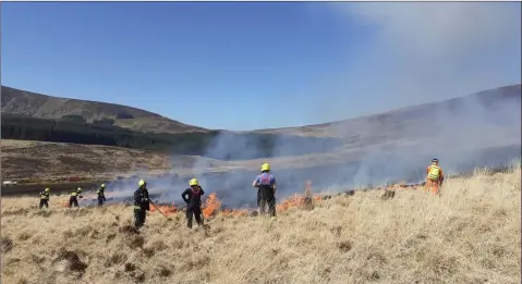  ??  ?? Wicklow Fire Services tackling a gorse fire at Wicklow Mountains National Park.