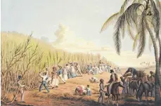  ?? FOTO: WIKI COMMONS ?? Sklaven schneiden Zuckerrohr auf einer Plantage auf der Karibikins­el Antigua, Stich nach William Clark um 1823.