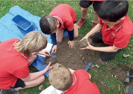  ??  ?? Pictured above, pupils of Five Forks School delve into a soil sample looking for worms and other critters.