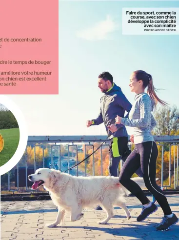  ?? PHOTO ADOBE STOCK ?? Faire du sport, comme la course, avec son chien développe la complicité avec son maître