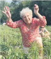  ??  ?? Lucie St-Pierre, de Trois-Rivières, a surpris sa famille en insistant, encore cette année, pour participer à la cueillette de fraises, à 93 ans. Elle était tellement heureuse!