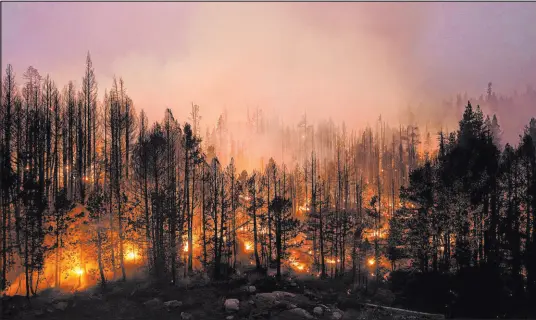  ?? Jae C. Hong The Associated Press file ?? Trees scorched by the Caldor Fire smolder in the Eldorado National Forest, Calif., on Sept. 3. The Biden administra­tion wants to thin more forests and use prescribed burns to reduce catastroph­ic wildfires as climate change makes blazes more intense.