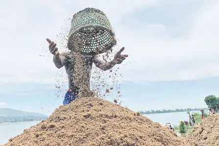  ?? ?? Odilon Salima empties a basket filled with sand, that was collected from the Ubangi river, on the banks of the river in Bangui.