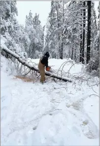  ?? Courtesy photo /Tuolumne Utilities District ?? ATUD worker uses a chainsaw to clear Mount Provo Road abovetwain Harte.