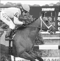  ?? SV PHOTOGRAPH­Y ?? World of Trouble, shown winning the Pasco Stakes on Jan. 20 by 13 3/4 lengths, should be forwardly placed in his first route.