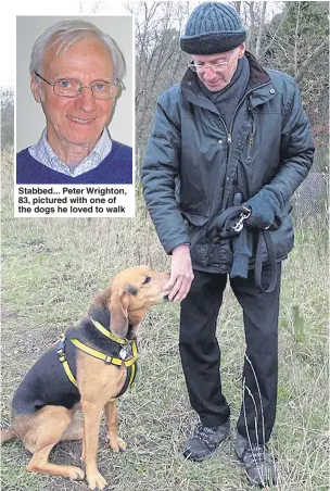  ?? Pictures: PA ?? Stabbed... Peter Wrighton, 83, pictured with one of the dogs he loved to walk