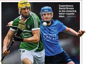  ?? SPORTSFILE ?? Experience: David Breen in his Limerick inter-county days